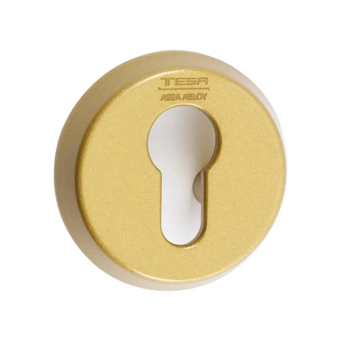 ESCUDO DE SEGURIDAD TESA E300
