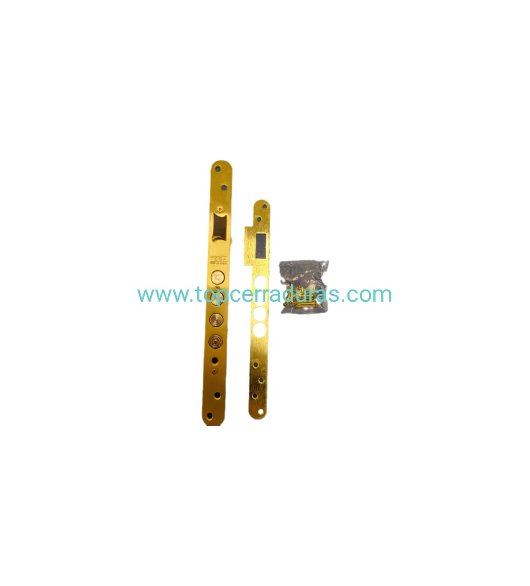 Tesa R100 Lock CERRADURAS DE SEGURIDAD TESA PARA PUERTA DE MADERA R100 – TOPCERRADURAS